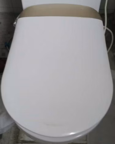 Without Control panel Plastic Intelligent Toilet Seat